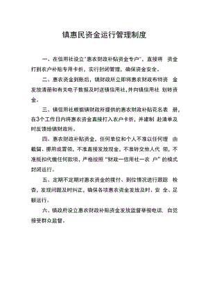 镇惠民资金运行管理制度.docx