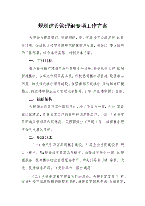 规划建设管理组专项工作方案.docx