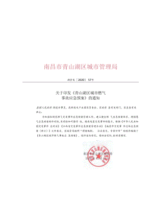 青山湖区城市燃气事故应急预案.docx