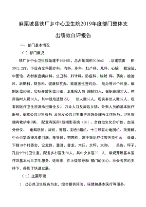 麻栗坡县铁厂乡中心卫生院2019年度部门整体支出绩效自评报告.docx