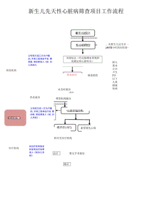 新生儿先天性心脏病筛查项目工作流程.docx
