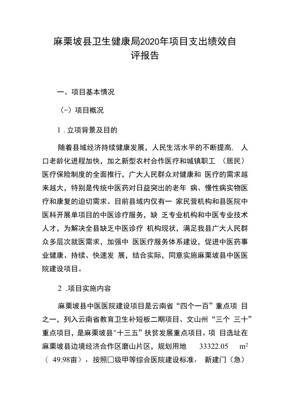 麻栗坡县卫生健康局2020年项目支出绩效自评报告.docx_第1页