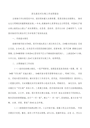 深化落实河长制工作述职报告.docx