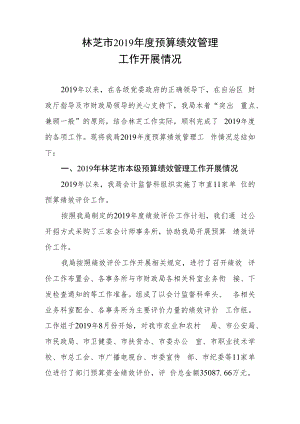 林芝市2019年度预算绩效管理工作开展情况doc.docx