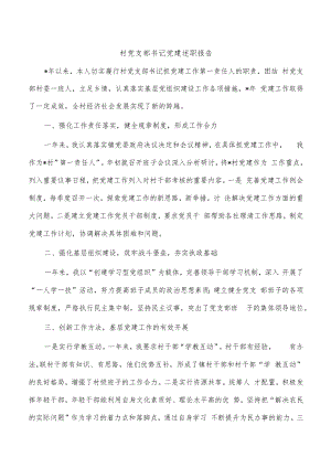 村党支部书记党建述职报告.docx