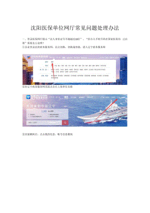 沈阳医保单位网厅常见问题处理办法202209.docx
