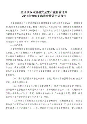 芷江侗族自治县安全生产监督管理局2018年整体支出资金绩效自评报告.docx