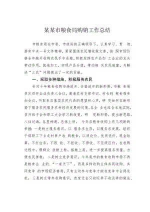 某某市粮食局购销工作总结.docx