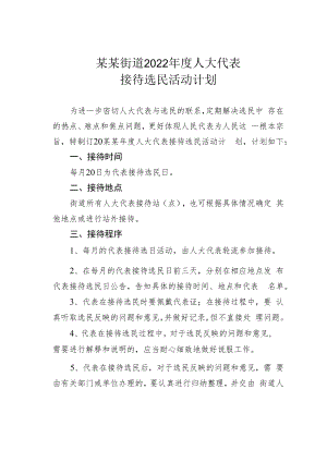 某某街道2022年度人大代表接待选民活动计划.docx