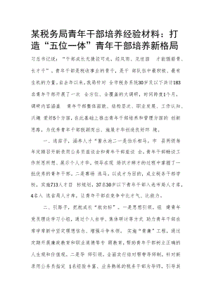 某税务局青年干部培养经验材料：打造“五位一体”青年干部培养新格局.docx