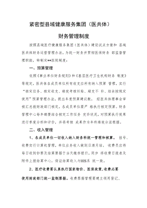 紧密型县域健康服务集团（医共体）财务管理制度.docx