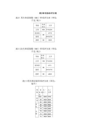 表2 单项指标评分表.docx