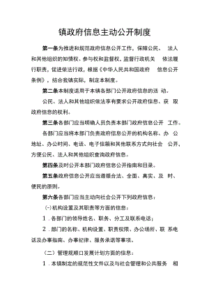 镇政府信息主动公开制度.docx