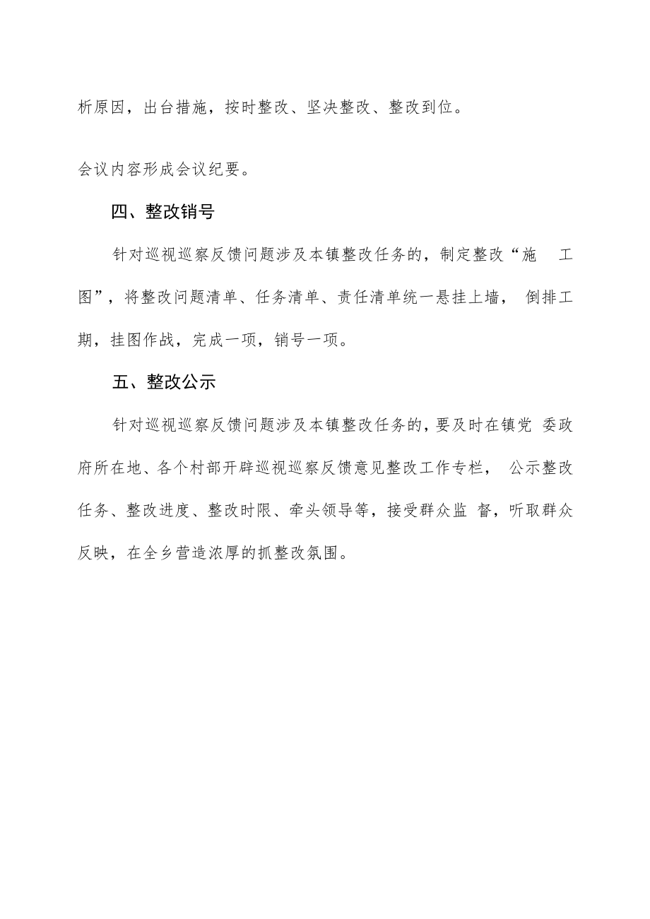 镇巡视巡察整改制度.docx_第2页