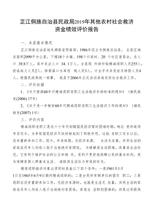 芷江侗族自治县民政局2019年其他农村社会救济资金绩效评价报告.docx