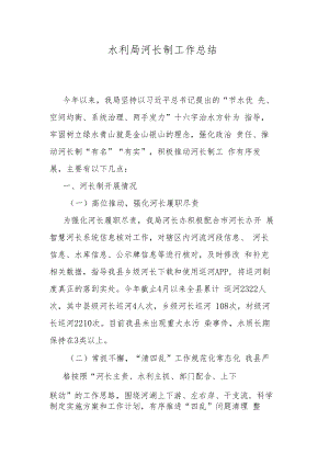水利局河长制工作总结.docx