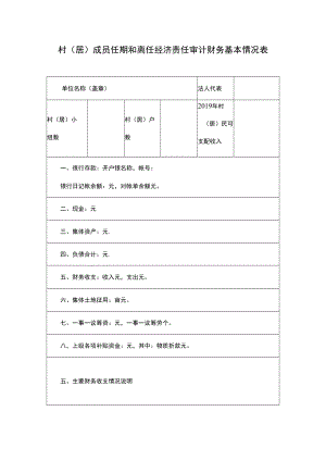 村（居）成员任期和离任经济责任审计财务基本情况表.docx