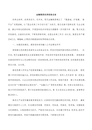 金融集团改革经验总结.docx