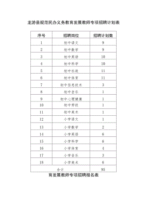 龙游县规范民办义务教育发展教师专项招聘计划表.docx