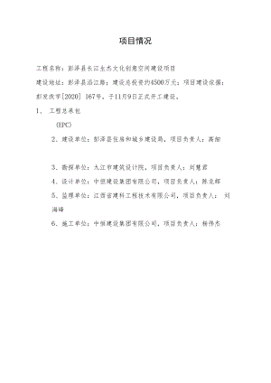 项目情况.docx