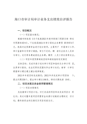 海口市审计局审计业务支出绩效自评报告.docx