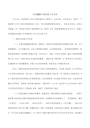 水利2022年度档案工作总结.docx