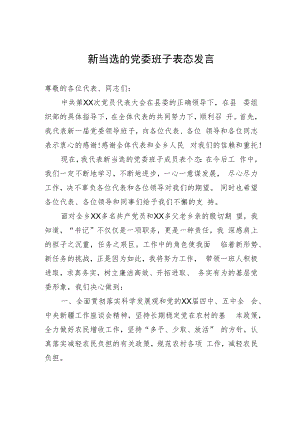 新当选的党委班子表态发言.docx