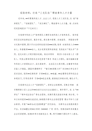 经验材料：打造“三支队伍”释放青年人才力量.docx