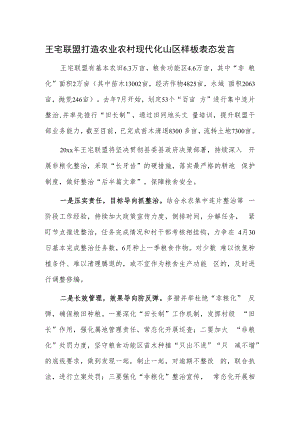 王宅联盟打造农业农村现代化山区样板表态发言.docx