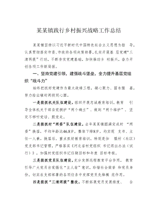 某某镇践行乡村振兴战略工作总结.docx