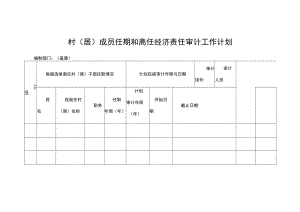 镇村（居）成员任期和离任经济责任审计工作计划.docx