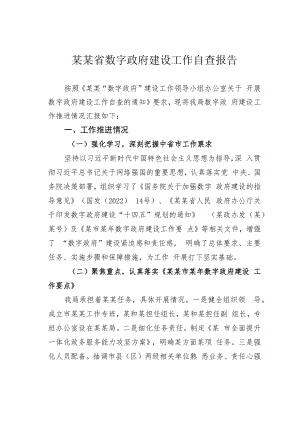 某某省数字政府建设工作自查报告.docx