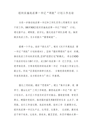 组织实施选派第一书记“领航”计划工作总结.docx