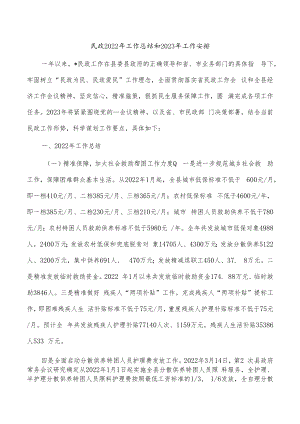 民政2022年工作总结和2023年工作安排.docx