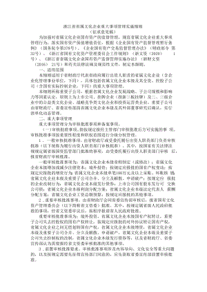 浙江省省属文化企业重大事项管理实施细则.docx