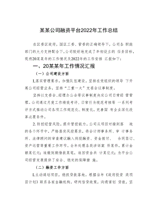 某某公司融资平台2022年工作总结.docx