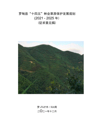 罗甸县“十四五”林业草原保护发展规划.docx