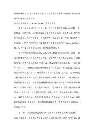 聚焦发展 提升建设用地报批服务质效-红旗铸魂强党建 开发服务促发展.docx