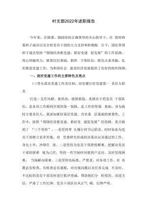 村支部2022年述职报告.docx