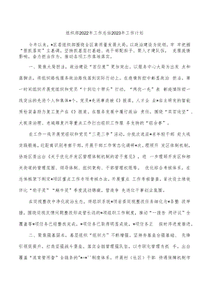 组织部2022年工作总结2023年工作计划.docx