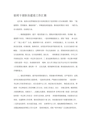 驻村干部队伍建设工作汇报.docx