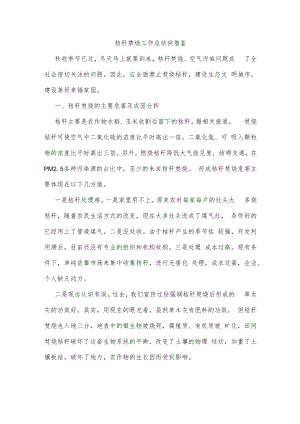 秸秆禁烧工作总结供借鉴.docx