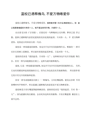 蓝桉已遇释槐鸟,不爱万物唯爱你这句话的意思.docx