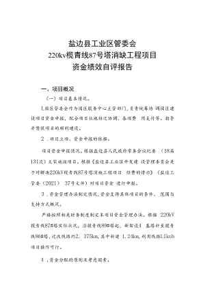 盐边县工业区管委会220kv榄青线87号塔消缺工程项目资金绩效自评报告.docx