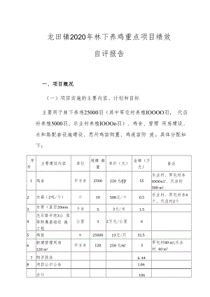龙田镇2020年林下养鸡重点项目绩效自评报告.docx