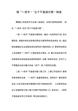 镇“一把手”“五个不直接分管”制度.docx