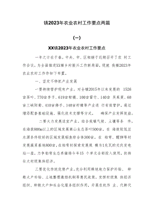 镇2023年农业农村工作要点两篇.docx