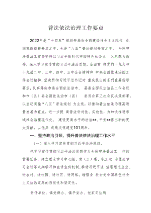 普法依法治理工作要点.docx