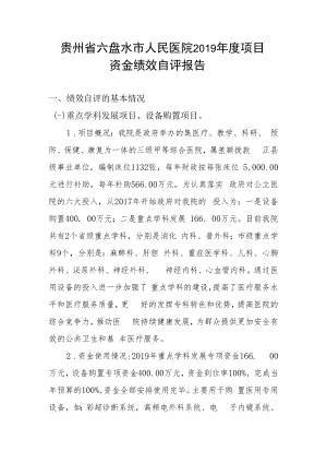 贵州省六盘水市人民医院2019年度项目资金绩效自评报告.docx