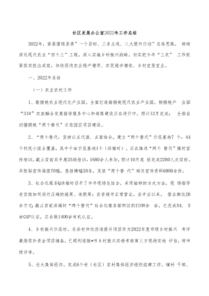 社区发展办公室2022年工作总结.docx